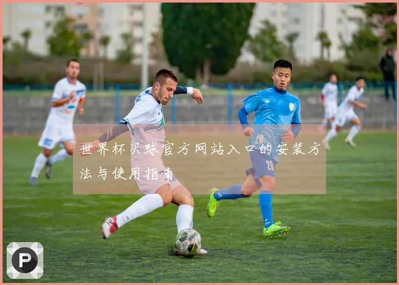 世界杯买球官方网站入口的安装方法与使用指南
